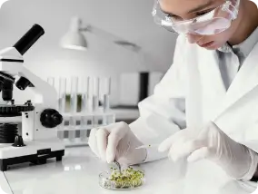 laboratory testing-services